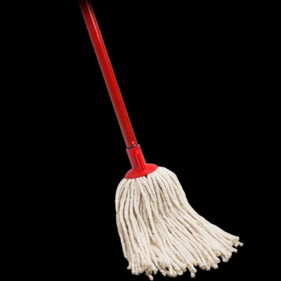 MOP WITH HANDLE (1 PC)