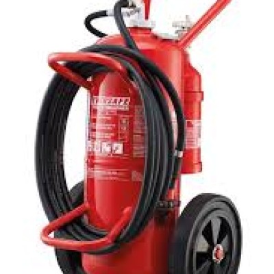 Eversafe Fire Extinguisher Model MPG 25