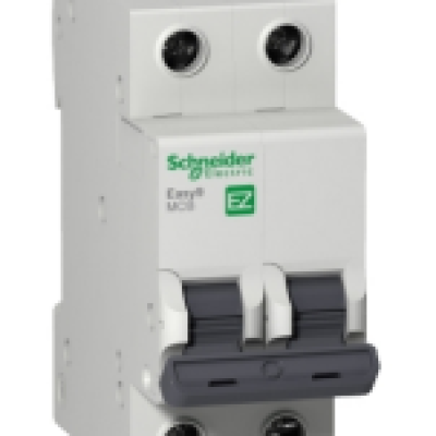 *Schneider Miniature circuit breaker (MCB), Easy9, 2P, 20A, C curve, 4500A (IEC EN 60898-1)