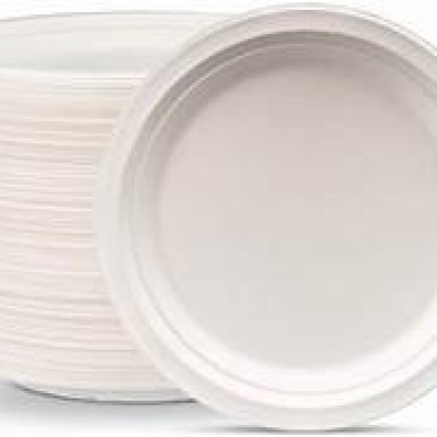 Disposable Paper Plate 9" 9inch, 50pcs pack