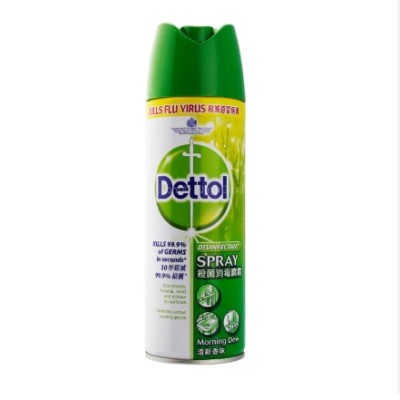 Dettol Spray - Morning Dew | 450 ml