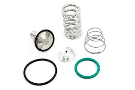 Ingersoll Rand Minimum Pressure Check Valve Kit - 22064695