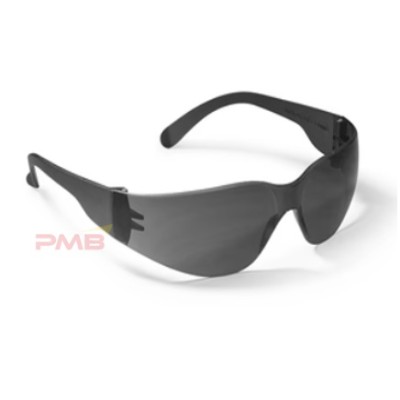 [DELIVERY TO ASB LABUAN ONLY]  PROGUARD STARLITE SAFETY EYEWEAR SL-4683