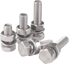 Hexagon Bolt & Nut + Spring Washer (SS 316), M10 X 20mm