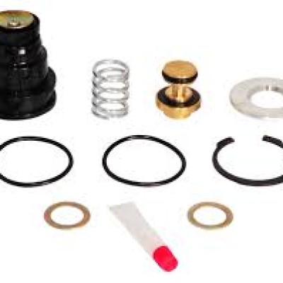 Repair Kit, CAT 1200453.DRER, PALL, PURGE CHECK VALVE