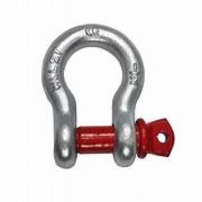 SHACKLE, BOW SHACKLE, SCREW PIN TYPE, G209,   3 1 4 T (5 8")