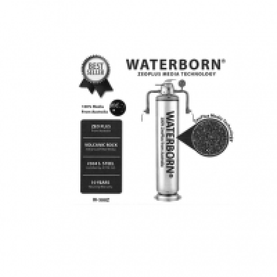 WATERBORN W-300Z Outdoor Filter