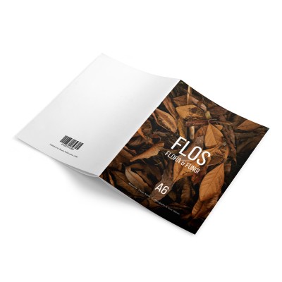 A6 Booklet Brochure Printing [10s]