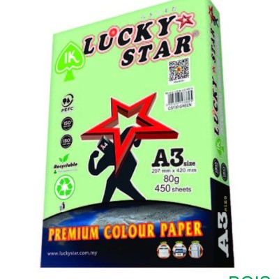 LUCKY STAR PAPER A3 80GSM L.GREEN 450'S