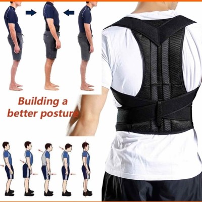 *Back Support Belt
