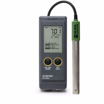 *Hanna Instruments HI 991001 pH Meter