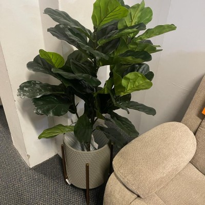*POTTED FIDDLE LEAF TREE