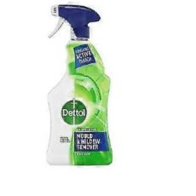 Dettol Mould & Mildew Remover Spray 500ml