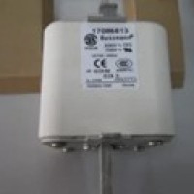 FUSE LINK,BUSSMANN,170M6813,900A,690V