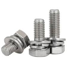 BOLT NUT W SPRING WASHER SS316 M10 X 60MM