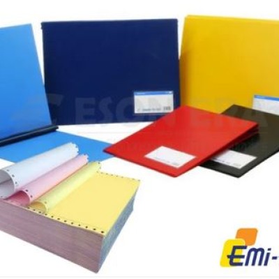 EMI Computer File PVC A4 800 Computer Foam File