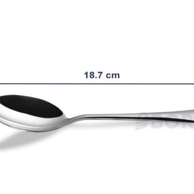 BOREA Premium Quality Cutlery Stainless Steel Spoon [18.7 cm] [6Pcs Pack]