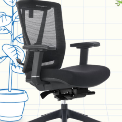 *FlexiSpot ErgoChair Pro 2.0