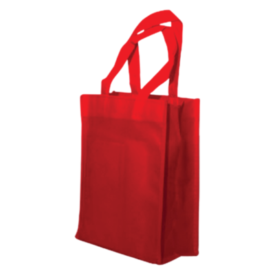 BAG NON WOVEN 9.7X11.5 X4" PK166-S
