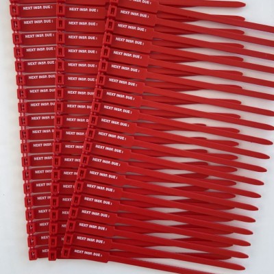 Next Inspection Due Tags, Red 175mm RigTag 100 pack