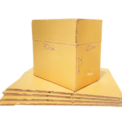 CARTON PACKING BOX