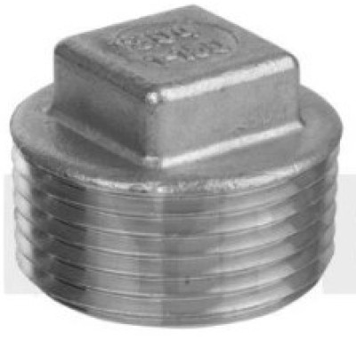 Stainless Steel Fitting | SUS304 Plug 1''