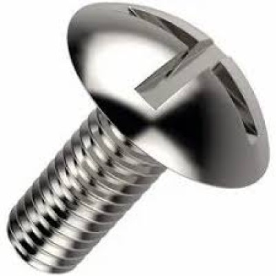 M6x50mm SS316 Mushroom Head Screw