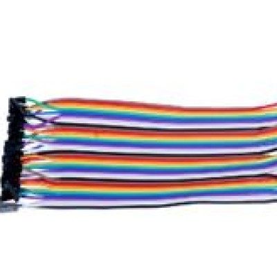 JUMPER WIRE : FEMALE TO MALE 40CM