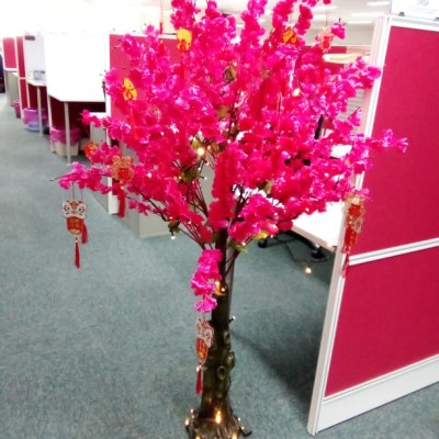 *Chinese New Year Decoration Bundle