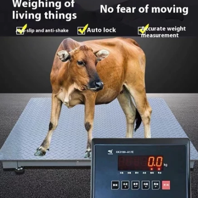 0.6 x 0.8 Meter 1 Tons Industrial Digital Scale Commercial Electronic Weighing High Precision Weighbridge for Livestock