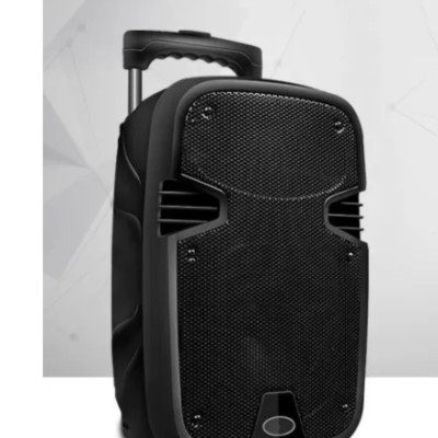 Portable Trolley Speaker Amplifier Karaoke + 2 Wireless Mic