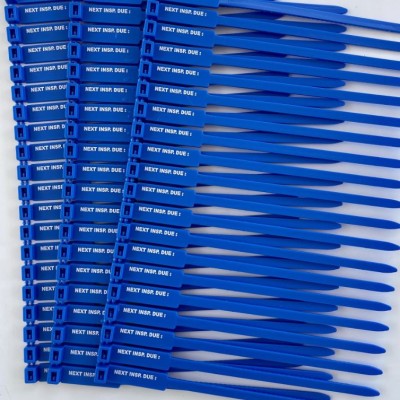 Next Inspection Due Tags, Blue 175mm RigTag 100 pack