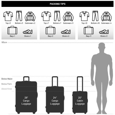 *URBANlite Conti (20") Spinner Luggage - ULH8919
