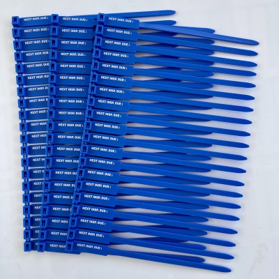 Next Inspection Due Tags, Blue 175mm (100pc)