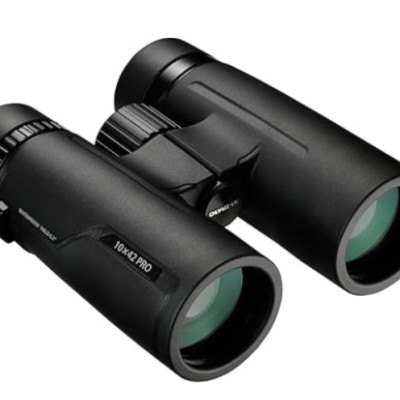 OLYMPUS BINOCULAR 10 X 42