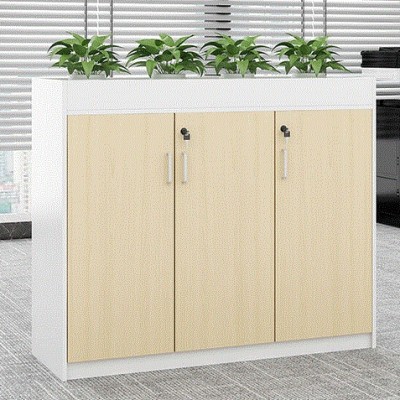 New Office Simple Modern Partition Cabinet File