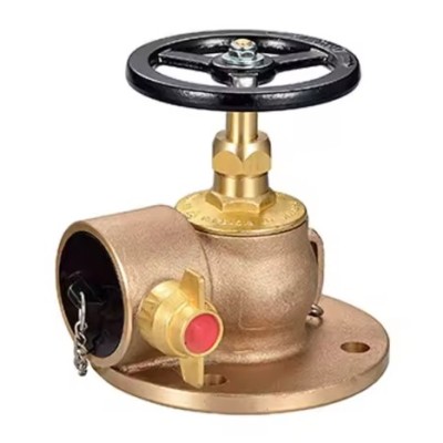 Fire hydrant regulator