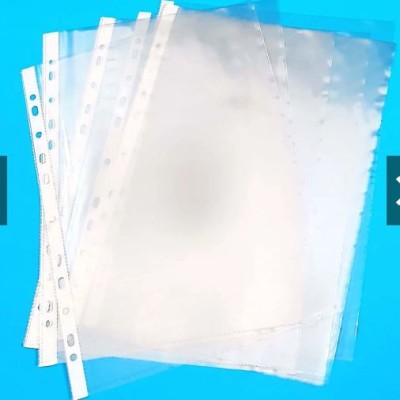 LIONFILE PP Sheet Protectors 80 mic, 10's