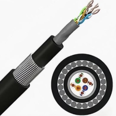 Armoured CAT 6 cable (300 meter)
