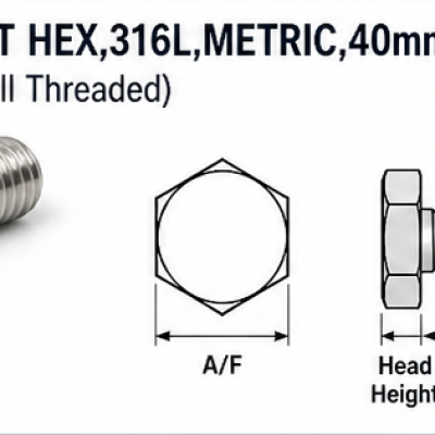 BLT HEX,316L,METRIC,40mm,M8 (Full Threaded)