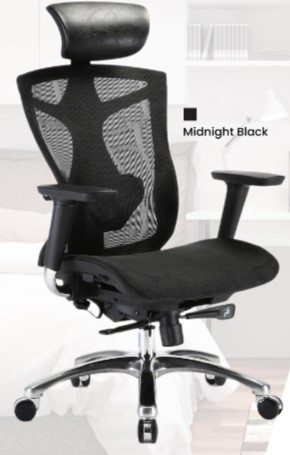 Sihoo V1 Ergonomic Chair