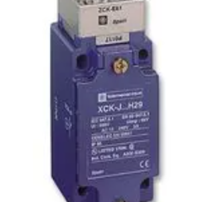 Limit Switch, Plunger, 1NO   1NC, 10 A, 240 V, OsiSense XC Series, XCKJ161H29