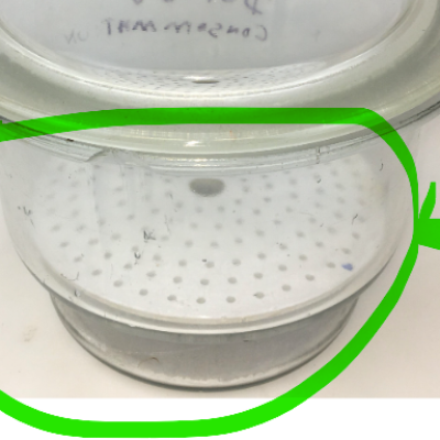 Porcelain Desiccator Plate, 230mm, Perforated, with Center Hole