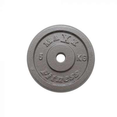 *MAXX CAST IRON WEIGHT PLATE - 2 x 1.25KG