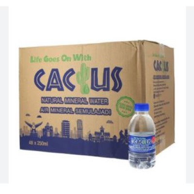 Cactus Natural Mineral Water (48 x 250ml)