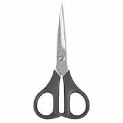 Scissor (8inch)