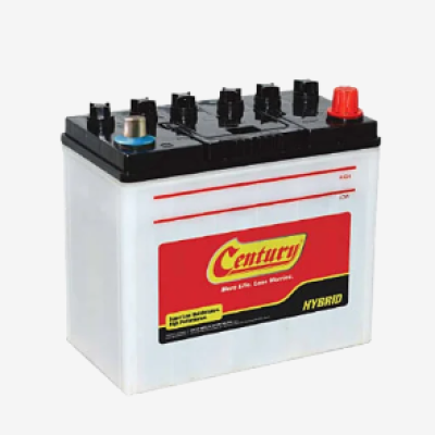 *CENTURY HYBRID N120