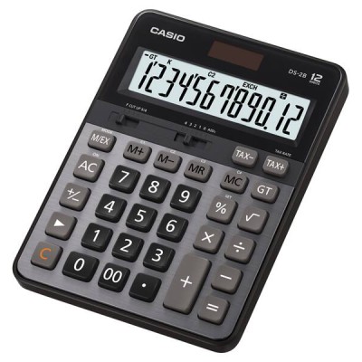 *CASIO Calculator DS-2B