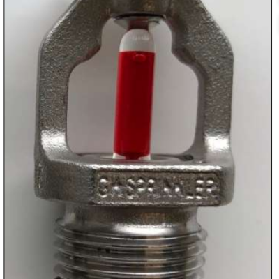 1 2"NPT GW-S SSP 68'C K80 SS316