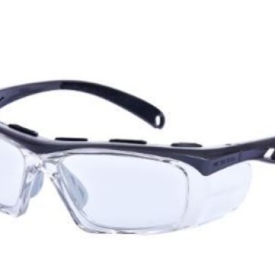 Worksafe Srx Steed, Grey Frame With Frosted Holder, Clear Hc Lens 340WSE30413F57